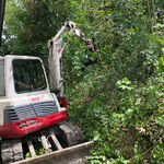 Bagger bei Holzarbeiten