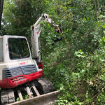 Bagger bei Holzarbeiten